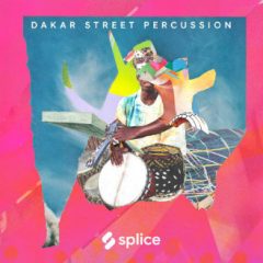 دانلود پکیج لوپ و سمپل پرکاشن Splice Sounds Sessions Dakar Street Percussion WAV