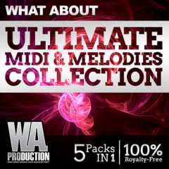 دانلود پکیج لوپ و فایل های میدی What About Ultimate MIDI and Melodies Collect WAV MIDI