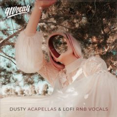 دانلود پکیج لوپ وکال ۹۱Vocals Dusty Acapellas And Lo-Fi Rnb Vocals WAV