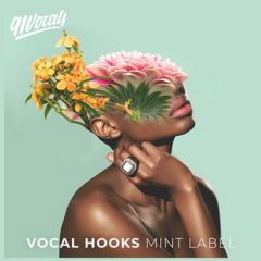 دانلود پکیج لوپ وکال ۹۱Vocals Vocal Hooks Mint Label WAV