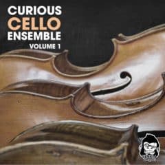 دانلود پکیج لوپ ویولنسل Vanilla Groove Studios Curious Cello Ensemble Vol 1 WAV