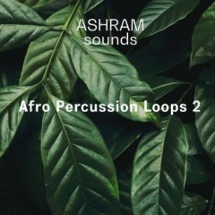 دانلود پکیج لوپ پرکاشن Riemann Kollektion ASHRAM Afro Percussion Loops 2 WAV