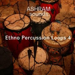 دانلود پکیج لوپ پرکاشن Riemann Kollektion ASHRAM Ethno Percussion Loops 4 WAV