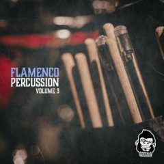 دانلود پکیج لوپ پرکاشن فلامنکو Vanilla Groove Studios Flamenco Percussion Vol 3 WAV