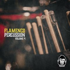 دانلود پکیج لوپ پرکاشن فلامنکو Vanilla Groove Studios Flamenco Percussion Vol 4 WAV