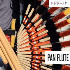 دانلود پکیج لوپ پن فلوت Concept Samples Pan Flute WAV