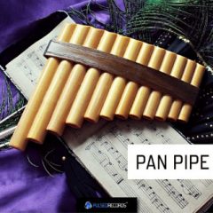 دانلود پکیج لوپ پن فلوت Pulsed Records World Series: Pan Pipe WAV