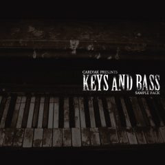 دانلود پکیج لوپ پیانو و بیس Flatline Kits – Cardiak Presents Keys and Bass WAV