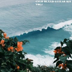 دانلود پکیج لوپ گیتار CXLD BLXXD Guitar Kit VOL1 WAV