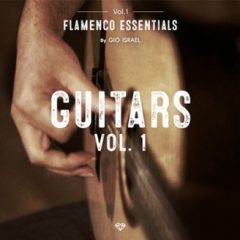 دانلود پکیج لوپ گیتار فلامنکو Gio Isr ael Flamenco Essentials Guitars Vol. 1 WAV