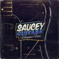 دانلود پکیج لوپ گیتار Julez Jadon Saucey Guitars Vol. V WAV