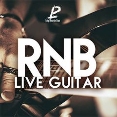 دانلود پکیج لوپ گیتار Luigi Production RnB Live Guitar WAV