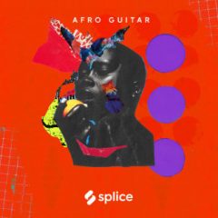 دانلود پکیج لوپ گیتار Splice Sessions Senegalese Guitar with Malick Diouf WAV