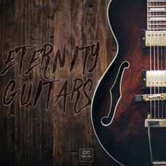 دانلود پکیج لوپ گیتار الکتریک Godlike Loops Eternity Guitars Vol.1 WAV