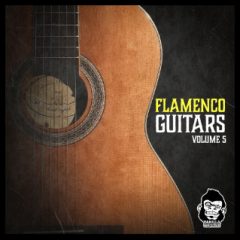 دانلود پکیج لوپ گیتار فلامنکو Vanilla Groove Studios Flamenco Guitars Vol 5 WAV