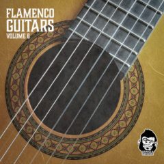 دانلود پکیج لوپ گیتار فلامنکو Vanilla Groove Studios Flamenco Guitars Vol 6 WAV