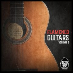 دانلود پکیج لوپ گیتار فلامنکو Vanilla Groove Studios – Flamenco Guitars Vol.2 WAV