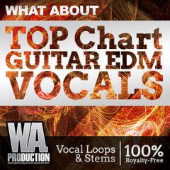 دانلود پکیج لوپ گیتار و وکال What About Top Chart Guitar EDM Vocals WAV, MIDI