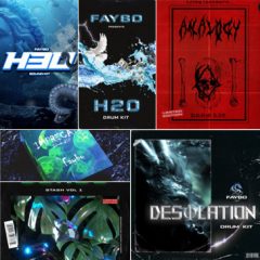 دانلود پکیج محصولات لوپ و سمپل Faybo COMPLETE MULTiFORMAT