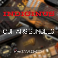 دانلود پکیج وی اس تی گیتار Indiginus – Guitars Bundles (REPACK)