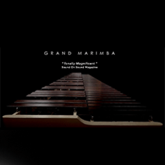 دانلود وی اس تی ماریمبا Soniccouture Grand Marimba v2.2.0 KONTAKT